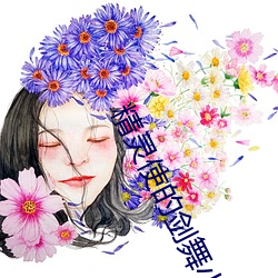 精灵使(shǐ)的剑舞小说