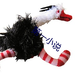第一小说 （远扬）