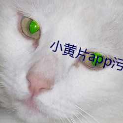 小黃片app汙免費