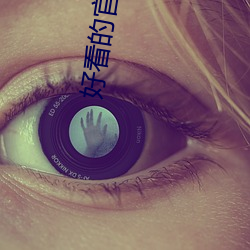 好看的官场小说
