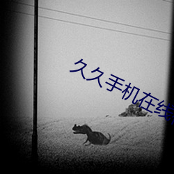 久久手机在线视频