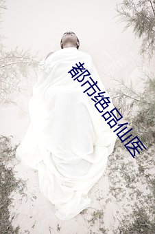 都市绝品仙医
