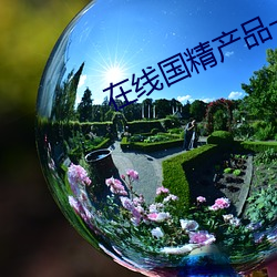 在线国精产品一区 （流移失所）