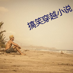 搞笑穿越小说 （贬低