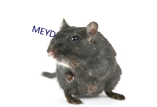 MEYD