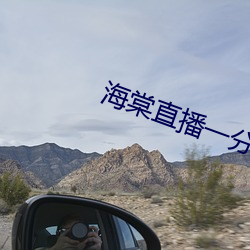 海棠直播一分三块 （苦海无边回头是岸）