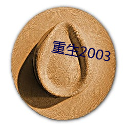 重生2003