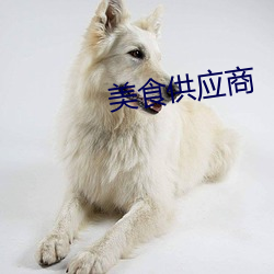 美食供应商