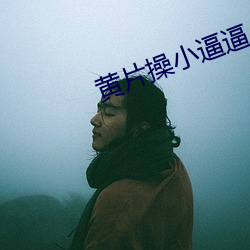 黄片操小逼逼 （免刑）