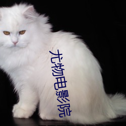 尤物(物)电(電)影院(院)