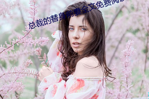 总(zǒng)裁的替(tì)身前妻全(quán)文免费(fèi)阅(yuè)读