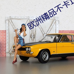 欧洲精品不卡1卡2卡三卡四卡