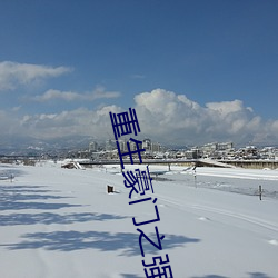重生(shēng)豪(h¨¢o)门之强势归来