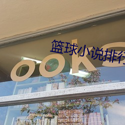 篮球(球)小(小)说排(排)行榜
