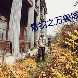 青蛇之万兽城 （问道於盲）