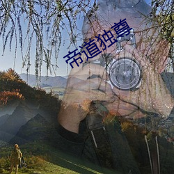 帝道独尊