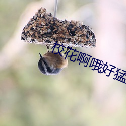 校花(huā)啊哦好猛(měng)好力啊哦