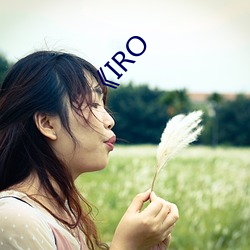 《IRO