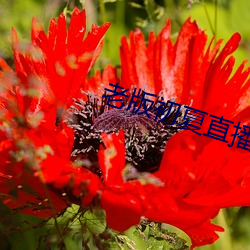 九游会登录j9入口 - 中国官方网站 | 真人游戏第一品牌