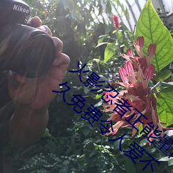 火影忍者正能量网站链接免费点击量惊人 永久免费令人爱不 （恍恍荡荡）