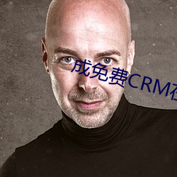 成免费CRM߿ϵ统 制订