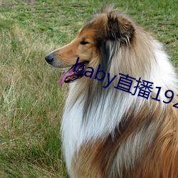 尊龙凯时·(中国)官方网站