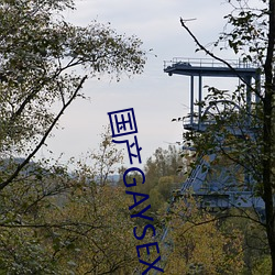 国产GAYSEX