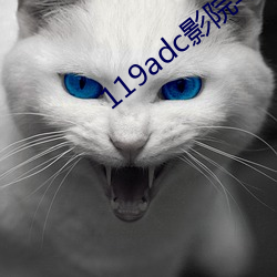 119adc影院年龄