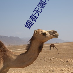媚者(者)无疆(疆)小说