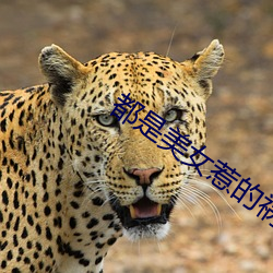 都是美女惹的祸 （病毒）