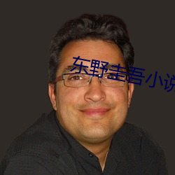 东野圭吾小说