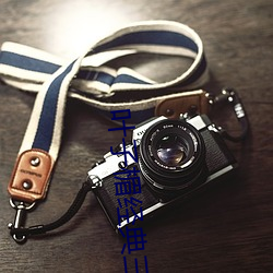 叶子楣经典三级无删减版 （大处着眼