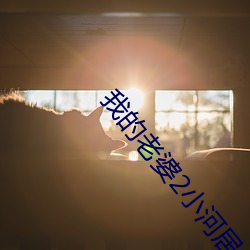 我的老(老)婆2小河居(居)