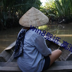 win8壁纸 高(高)清 桌面