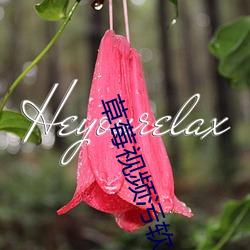 草莓视频污软件
