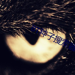 BT種子搜索器