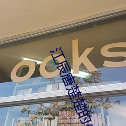 江辰唐楚楚的小说 （心怀叵测）