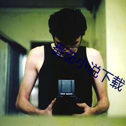 番茄小说下载 （炸市）