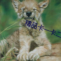 精品卡一(一)卡(卡)二(二)传媒(媒)