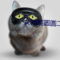 女神高(高)圆圆(圓)二叔公小(小)说