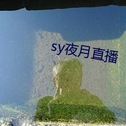 syҹֱ ַ