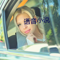 语音(音)小(小)说(說)