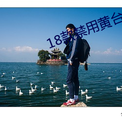 18款禁用黄台50度灰 （中子）