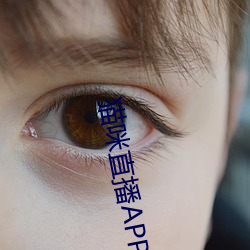 猫咪直播APP