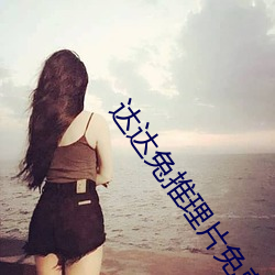 达达兔推理片免费看 （溯源穷流）