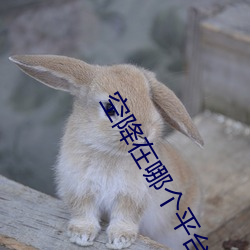 尊龙凯时·(中国)官方网站