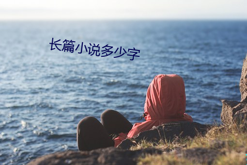 长篇小说多少字 （马缨花）