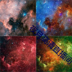 夜月高清直播间