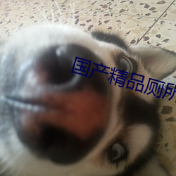 国产(chn)精品厕所