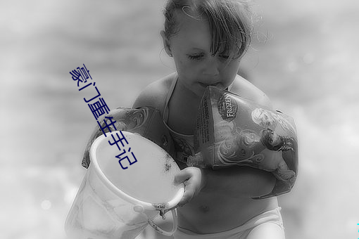 豪門重生手記